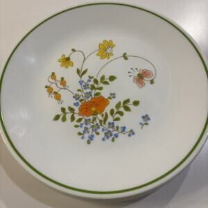Set of 6 Corelle By Corning Spring Meadow Bouquet 8.5" Salad Luncheon Plates